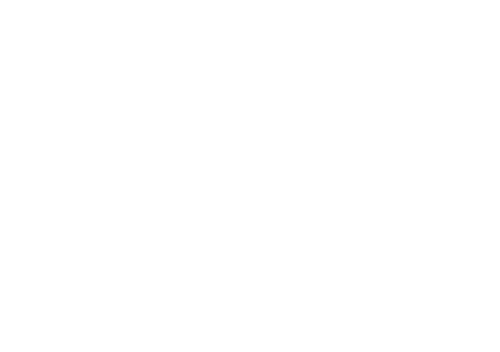 Prime Trophies
